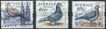 [Doves and Pigeons, type BTG]