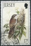 [Birds, タイプ VX]