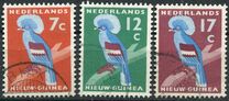 [Western Crowned Pigeon, type P]