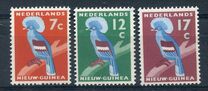 [Western Crowned Pigeon, type P]