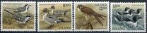 [Birds, type OZ]