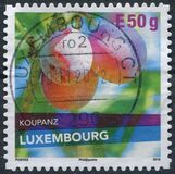 [Flora - Plum Varieties in Luxembourg, type BXR]