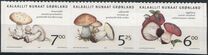 [Edible Mushrooms in Greenland, type MW]