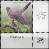 [Bird of the Year - The Common Cuckoo, type BHK]