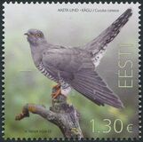 [Bird of the Year - The Common Cuckoo, type BHK]