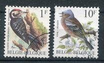 [Birds, Вид BNH]