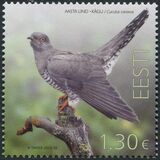 [Bird of the Year - The Common Cuckoo, type BHK]