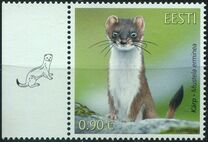 [Fauna - The Stoat, type BEG]