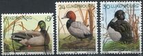 [Ducks, type ARP]