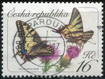 [Butterflies - Common Yellow Swallowtail, סוג AGP]
