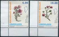 [Greenlandic Plants, type AEM]