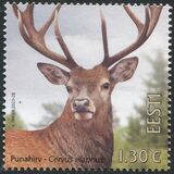 [Fauna - Red Deer, type BGT]