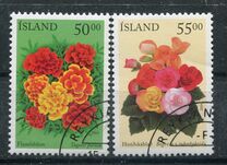 [Summer Flowers, tip ADU]