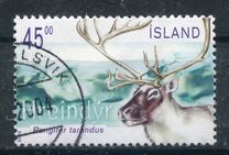 [Reindeer, タイプ ADP]