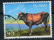 [Icelandic Cattle, 類型 ACZ]