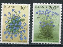 [Summer Flowers, type ACM]