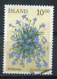 [Summer Flowers, type ACM]
