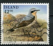 [Icelandic Birds, typ ABR]