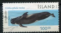 [Marine Mammals, type ABM]