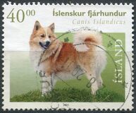 [Sheep Dogs, type AAY]