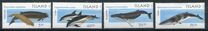 [Marine Mammals, タイプ AAD]
