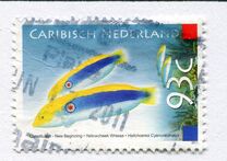 [New Constitution - Fish, type D]