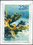 [Marine Life - Corals, type O]