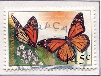 [Butterflies, type APT]