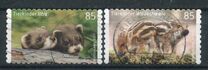 [Baby Animals, type DGB]