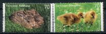 [Baby Animals, type DDX]
