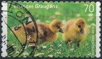 [Baby Animals, type DDX]