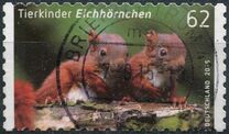 [Baby Animals, type DBI]