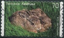 [Baby Animals, type DDX]