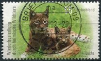 [Repopulation of the Indigenous Wildlife - Lynx and Elk, tip CUY]