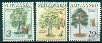 [Nature Conservation - Tree, type CI]