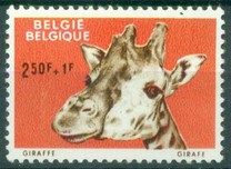 [Animals from Antwerp zoo, тып ZO]