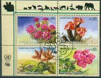 [Flora - Endangered Species, 类型 WE]