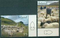 [Sheep Gathering, type AKV]