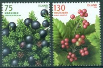 [Wild Berries, type AHB]