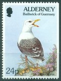 [Flora and Fauna, տեսակ BY]