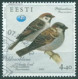 [House and Tree Sparrow, type JT]