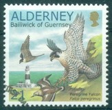 [Birds - The Peregrine Falcon, type EO]