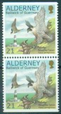 [Birds - The Peregrine Falcon, type EO2]
