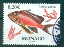 [Flora and Fauna of the Mediterranean, loại CVN]