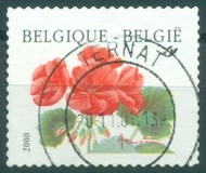 [Flower - Year "2000" Imprint, Tip CFV1]