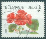 [Flower - Year "2000" Imprint, Tip CFV1]