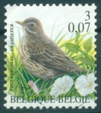 [Birds, type CIJ]