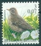 [Birds, type CIJ]