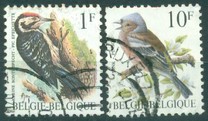 [Birds, type BNH]