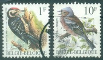 [Birds, type BNH]